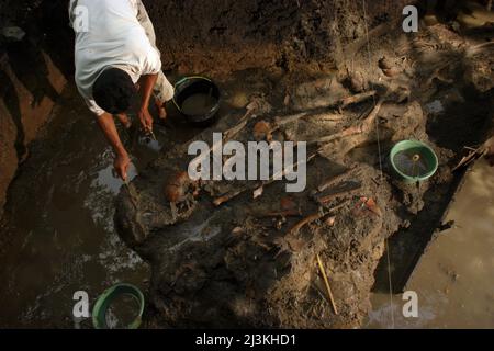 Travailleurs et archéologues de la National Archaeology Research en Indonésie excavant un site de sépulture préhistorique à Tempuran, Karawang, Indonésie. Banque D'Images