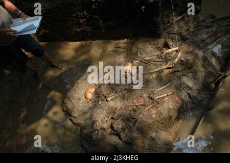 Travailleurs et archéologues de la National Archaeology Research en Indonésie excavant un site de sépulture préhistorique à Tempuran, Karawang, Indonésie. Banque D'Images