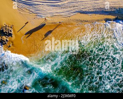 Un drone photo de deux femmes et de leur chien sur la côte près de Cabo. Banque D'Images