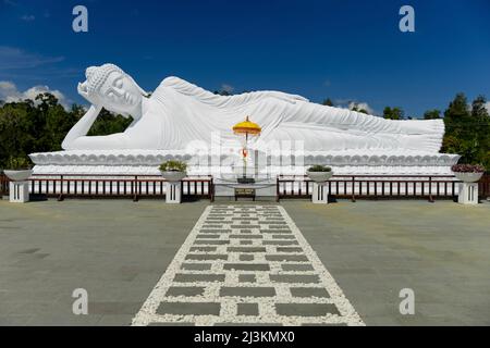 Statue blanche de Bouddha endormi dans une posture inclinable avec des arbres en arrière-plan, temple de Vihara Dharma Giri; Tabanan, Bali, Indonésie Banque D'Images