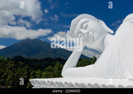 Statue blanche de Bouddha endormi dans une posture inclinable avec une montagne et une forêt en arrière-plan, temple de Vihara Dharma Giri; Tabanan, Bali, Indonésie Banque D'Images