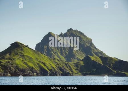 Relief accidenté couvert de feuillage vert le long de la côte de l'océan sous un ciel bleu, parc national de Komodo; est Nusa Tenggara, Indonésie Banque D'Images