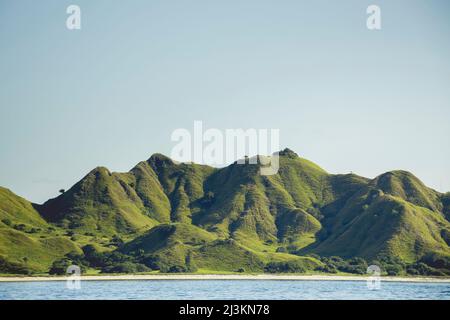 Relief accidenté couvert de feuillage vert le long de la côte de l'océan sous un ciel bleu, avec des oiseaux debout sur les sommets et une plage le long du rivage... Banque D'Images