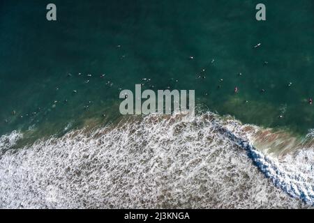 Vue aérienne des surfeurs pagayant vers la mer à Rincon point; Carpinteria, Californie, États-Unis d'Amérique Banque D'Images