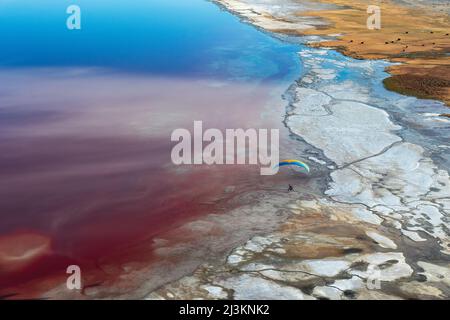 Un pilote paramoteur survole Owens Lake, un lit de lac principalement sec, dans la Sierra Nevada près de Lone Pine avec des halobactéries salines tournant le... Banque D'Images