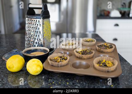 Muffins au four avec zeste de citron et citrons frais avec râleur sur le comptoir de cuisine; Kelowna, Colombie-Britannique, Canada Banque D'Images