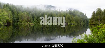 Des nuages bas s'assoient sur les arbres d'une forêt luxuriante qui se reflète dans un lac Rice tranquille, Lynn Valley Canyon, North Vancouver, C.-B., Canada Banque D'Images