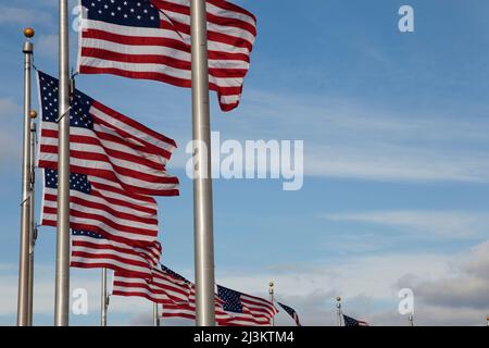 Stars and Stripes à côté du Washington Monument, Washington DC, États-Unis; Washington DC, États-Unis d'Amérique Banque D'Images