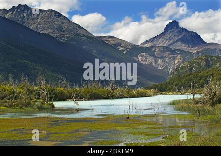 Cerro Castillo (2675 mètres) tours au-dessus du paysage, Carretera Austral, près de Villa Cerro Castillo au Chili; Patagonia, Chili Banque D'Images
