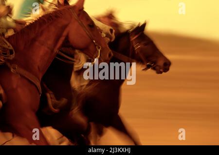 Cowboys à cheval sur un ranch; Seneca, Oregon, États-Unis d'Amérique Banque D'Images