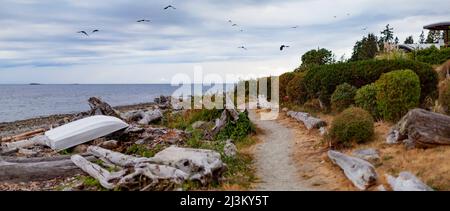 Sentier le long de la plage avec un barque tiré sur la rive et des mouettes volant, Sunshine Coast; Colombie-Britannique, Canada Banque D'Images