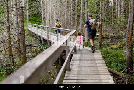 Une jeune famille randonnée sur un sentier de promenade ensemble dans le parc provincial marin de Smuggler Cove, le long de la Sunshine Coast de la Colombie-Britannique, Canada Banque D'Images