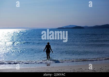 Silhouette d'une femme qui se coud dans les eaux peu profondes de l'océan Pacifique à Davis Bay le long de la Sunshine Coast au coucher du soleil; Colombie-Britannique, Canada Banque D'Images