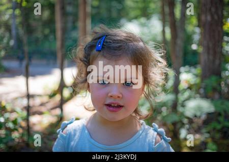 Portrait en gros plan d'une jeune fille d'âge préscolaire aux yeux bleus, aux boucles blondes et aux joues roses; Colombie-Britannique, Canada Banque D'Images