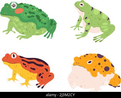 Ensemble grenouille. Animaux tropicaux colorés. Différents caractères de la faune ou de la nature. Amphibiens exotiques vert, jaune et orange Illustration de Vecteur