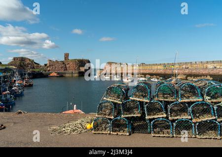 Des pièges à homard s'entassaient le long de la rive avec des bateaux amarrés dans le petit port paisible de Victoria à Dunbar, en Écosse, et Dunbar, East Lothian, en Écosse Banque D'Images