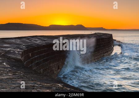 Lyme Regis, Dorset, Royaume-Uni. 9th avril 2022. Météo Royaume-Uni. Ciel clair pendant le lever du soleil au port de Cobb à Lyme Regis dans Dorset un matin froid gelé. Crédit photo : Graham Hunt/Alamy Live News Banque D'Images