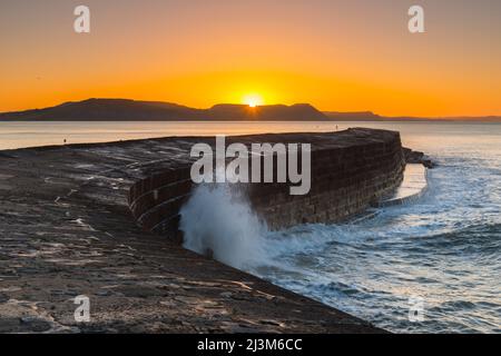 Lyme Regis, Dorset, Royaume-Uni. 9th avril 2022. Météo Royaume-Uni. Ciel clair pendant le lever du soleil au port de Cobb à Lyme Regis dans Dorset un matin froid gelé. Crédit photo : Graham Hunt/Alamy Live News Banque D'Images