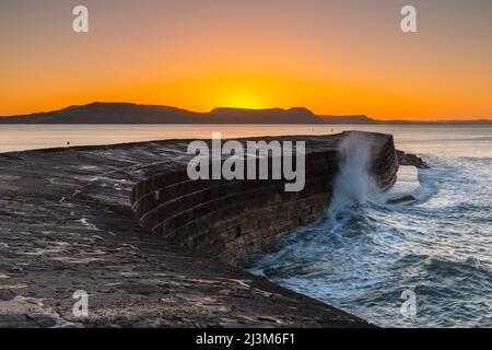 Lyme Regis, Dorset, Royaume-Uni. 9th avril 2022. Météo Royaume-Uni. Ciel clair pendant le lever du soleil au port de Cobb à Lyme Regis dans Dorset un matin froid gelé. Crédit photo : Graham Hunt/Alamy Live News Banque D'Images