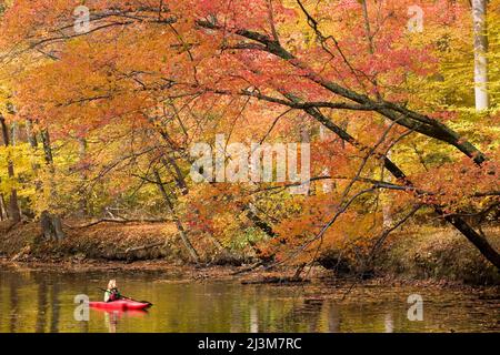 Une jeune femme fait du kayak sur le canal C&O à l'automne; Chesapeake et Ohio Canal National Park, Cabin John, MD Banque D'Images