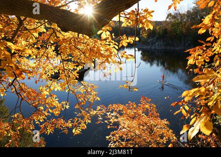 Un jeune de quinze ans parose son SUP à travers un feuillage d'automne brillant sur la section de Widewater du canal C&O ; Potomac, Maryland. Banque D'Images