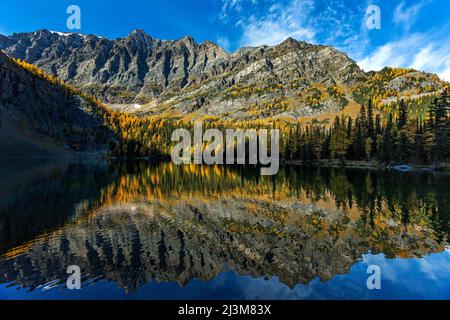 Montagne qui se reflète sur un lac alpin avec des mélèzes jaunes lumineux à l'automne et le ciel bleu et les nuages, parc national Banff Banque D'Images