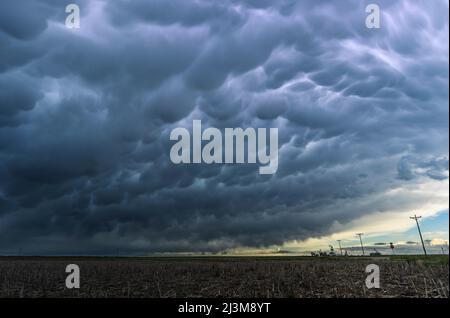 La foudre illumine une immense banque de nuages mammatus qui remplit le ciel au-dessus des grandes plaines; Colorado, États-Unis d'Amérique Banque D'Images