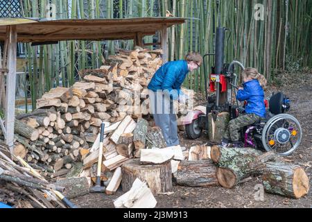 Fille dans son fauteuil roulant aide son frère aîné à couper le bois à la maison; Cabin John, Maryland, États-Unis d'Amérique Banque D'Images