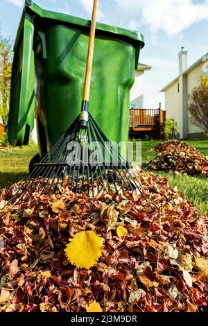 Gros plan d'un tas de feuilles râtelées avec un bac à compost vert et râteau en arrière-plan dans une cour; Calgary, Alberta, Canada Banque D'Images