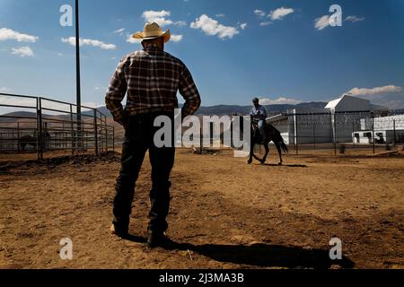 Les détenus font du cheval sauvage au centre correctionnel de Warm Springs; Carson City, Nevada, États-Unis d'Amérique Banque D'Images