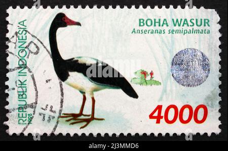 INDONÉSIE - VERS 1998 : un timbre imprimé en Indonésie montre la Bernache de Magpie, Anseranas Semipalmata, oiseau d'eau, vers 1998 Banque D'Images