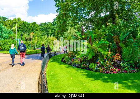 St James's Park est un parc de 23 hectares dans la ville de Westminster, dans le centre de Londres. Le parc est délimité par Buckingham Palace à l'ouest.Angleterre Banque D'Images