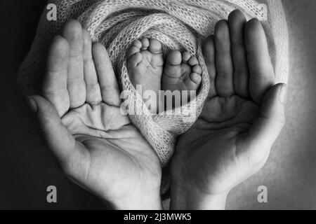 Les paumes du père, la mère tient le pied du nouveau-né. Pieds sur les paumes des parents. Banque D'Images