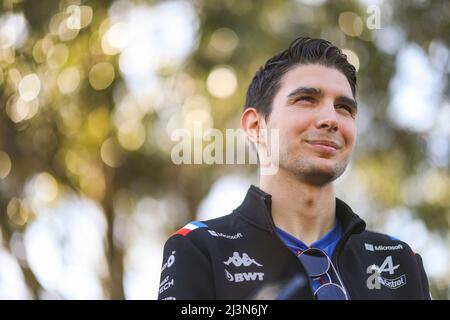 Melbourne, Australie. 8th avril 2022. #31 Esteban Ocon (FRA, BWT Alpine F1 Team), Grand Prix d'Australie F1 au circuit du Grand Prix de Melbourne le 8 avril 2022 à Melbourne, Australie. (Photo par HIGH TWO) Credit: dpa/Alay Live News Banque D'Images