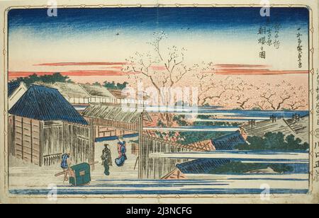Vue des cerisiers en fleurs du matin dans la Nouvelle Yoshiwara (Shin Yoshiwara asazakura no zu), de la série "vues célèbres du Capitole de l'est (Toto meisho)", c. 1831. Banque D'Images