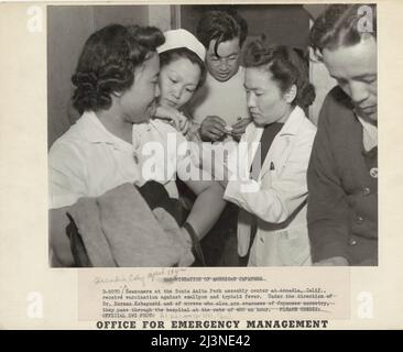 Relocalisation japonaise, Californie. Les nouveaux arrivants au Santa Anita Park Assembly Center à Arcadia, en Californie, reçoivent la vaccination contre la variole et la fièvre typhoïde. Sous la direction du Dr Norman Kobayshi et des infirmières qui sont également évacuées d'origine japonaise, elles passent par l'hôpital à raison de 400 par heure. Les évacués sont transférés plus tard dans les centres de l'autorité de réinstallation de guerre pour la durée. Banque D'Images