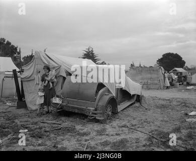 Famille de migrants à la recherche de travail dans les champs de pois. Californie. Banque D'Images