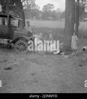 Famille de migrants de l'Oklahoma au Texas. Une famille de six personnes le long de la route. Un exemple de la façon dont ils tombent entre les organismes de secours. Le père, âgé de trente-cinq ans, est un compagnon intelligent, un peintre en commerce. Tuberculose avancée, victime d'une maladie professionnelle. Non éligible pour WPA (Works Progress Administration), classé comme totalement désactivé. En tant qu'accusation d'État selon les normes de secours de l'Oklahoma, on a dit à la famille que le soulagement maximum serait de sept dollars toutes les deux semaines. Ils ont perdu leur maison, leurs meubles, pris à la route il y a un an et quand les photographies ont été faites ils ont été trouvés pour être Banque D'Images