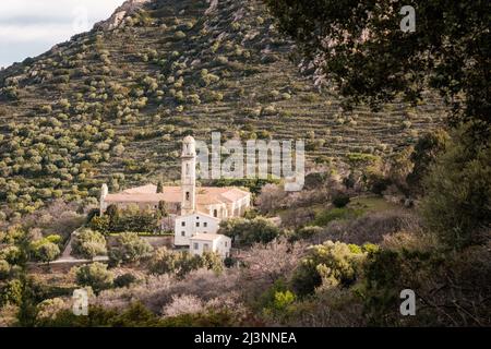 Le Couvent de Corbara, ancien couvent à l'extérieur du village de Corbara, dans la région de Balagne en Corse Banque D'Images