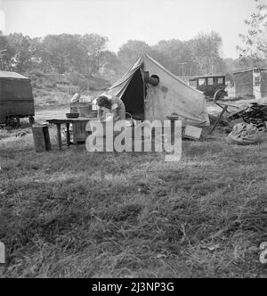 Camp American River, Sacramento. Maison de la famille du Tennessee, maintenant travailleurs migrants. Sept dans la famille, est venu en Californie le 1935 juillet, après des parents qui étaient venus en 1933. Père était un mineur de charbon dans le Tennessee. Raison de venir en Californie. "Nos voisins venaient. Nous n'avons obtenu qu'un ou deux jours de travail par semaine (soulagement). Nous avons pensé que nous pourrions améliorer notre situation ici. » Depuis son arrivée, la famille a travaillé dans les noix, les tomates, les pêches et la mère a travaillé dans une conserverie de fruits. Banque D'Images