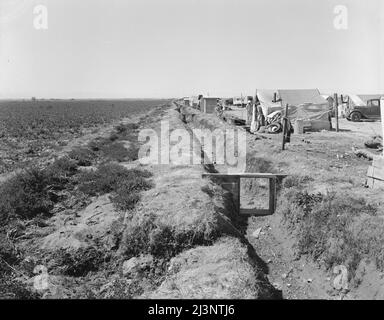 Quarante familles de réfugiés victimes de sécheresse et de dépression campent sur le bord de la route à côté d'un champ irrigué de pois. Un gel qui a détruit la récolte de pois a jeté pratiquement toutes les familles de ce camp sur les secours d'urgence. 14,5 km de Calipatria, Californie. Banque D'Images