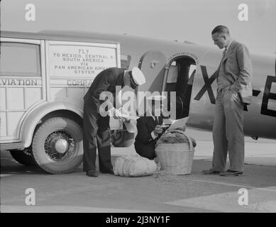 Les inspecteurs de quarantaine des plantes examinent les bagages du Mexique à la recherche d'insectes nuisibles. Aéroport de Glendale, Californie. Banque D'Images