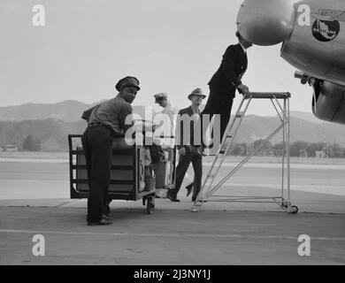 Des inspecteurs de quarantaine du ministère de l'Agriculture examinent l'avion de Pan American Airways en provenance du Mexique à son arrivée à l'aéroport de Glendale, en Californie. Banque D'Images