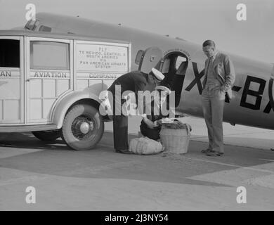 Inspecteur de quarantaine d'usine examinant les bagages transportés aux États-Unis par avion du Mexique. Glendale, Californie. Banque D'Images