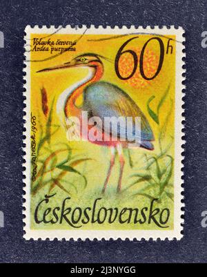 Timbre-poste annulé imprimé par la Tchécoslovaquie, qui montre l'héron pourpre (Ardea purpurea), vers 1967. Banque D'Images