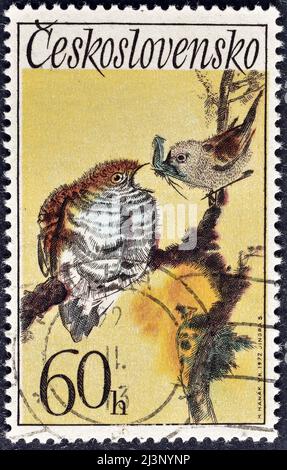 Timbre-poste annulé imprimé par la Tchécoslovaquie, qui montre le coucou commun (Cuculus canorus), Paruline de jardin, vers 1972. Banque D'Images