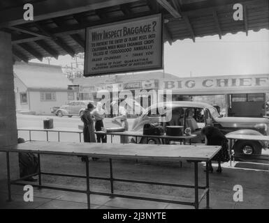 Inspecteur de quarantaine d'usine examinant les bagages touristiques avant d'entrer en Californie. Yuma, Arizona. ['Pourquoi inspecter les bagages? Empêcher l'entrée de ravageurs des plantes en Californie, qui mettrait en danger les cultures évaluées à $500 000 000 000 par an. Veuillez coopérer - Merci: Bureau de quarantaine des plantes, Département de l'agriculture de Californie]. Banque D'Images