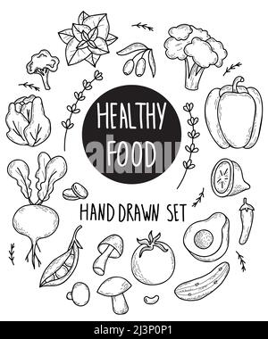 Ensemble de légumes et de fruits vectoriels, légumes-racines et champignons, légumineuses et plantes épicées, aliments en forme de caniche dessinés à la main. Dr. Main isolée Illustration de Vecteur