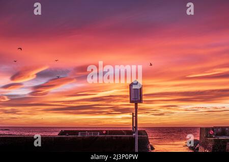 Lever du soleil coloré au port de Johnshaven à Aberdeenshire, en Écosse Banque D'Images