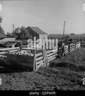 Ferme de client de réhabilitation rurale. Tulare County, Californie. Banque D'Images